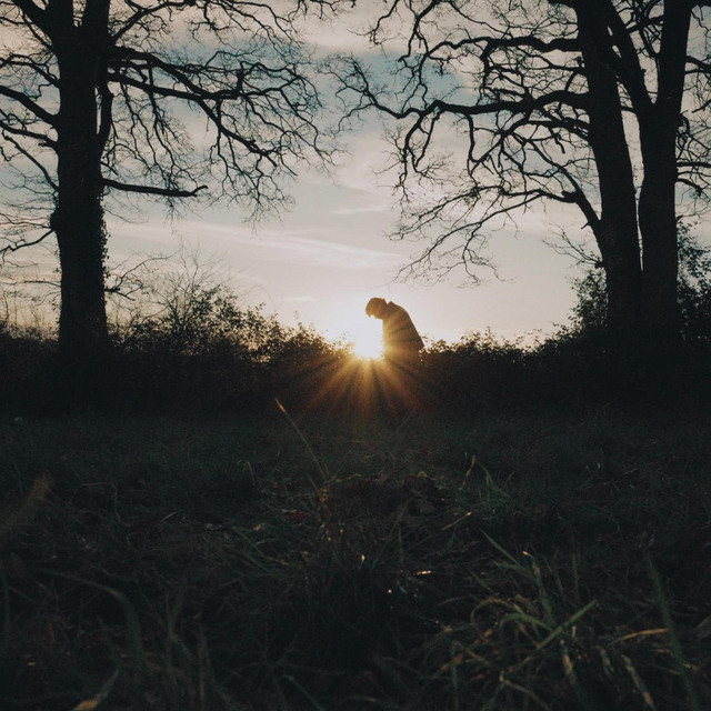 Alone cover art