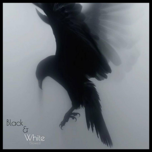 Обкладинка: Black&White - Slowed — KillGard