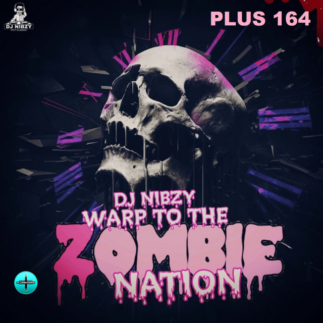 DJ Nibzy