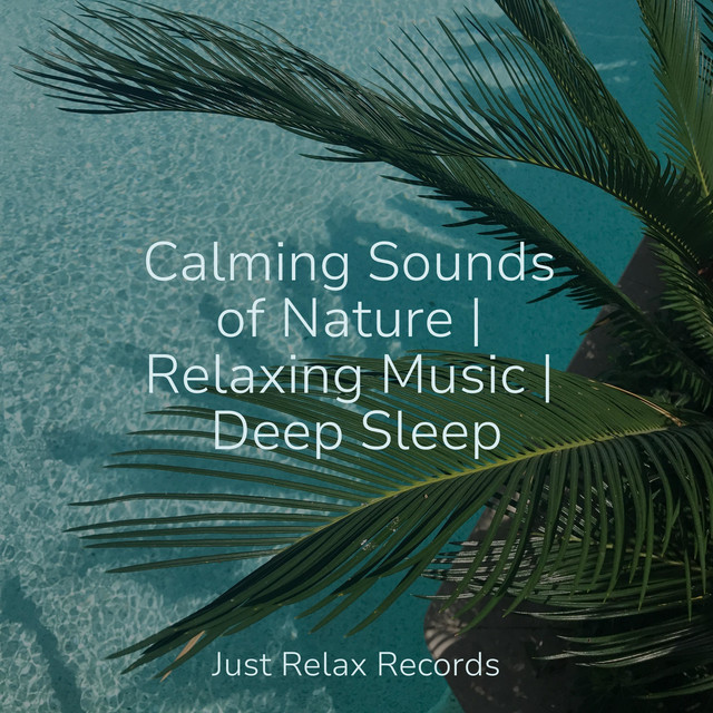Calming Sounds of Nature | Relaxing Music | Deep Sleep cover art