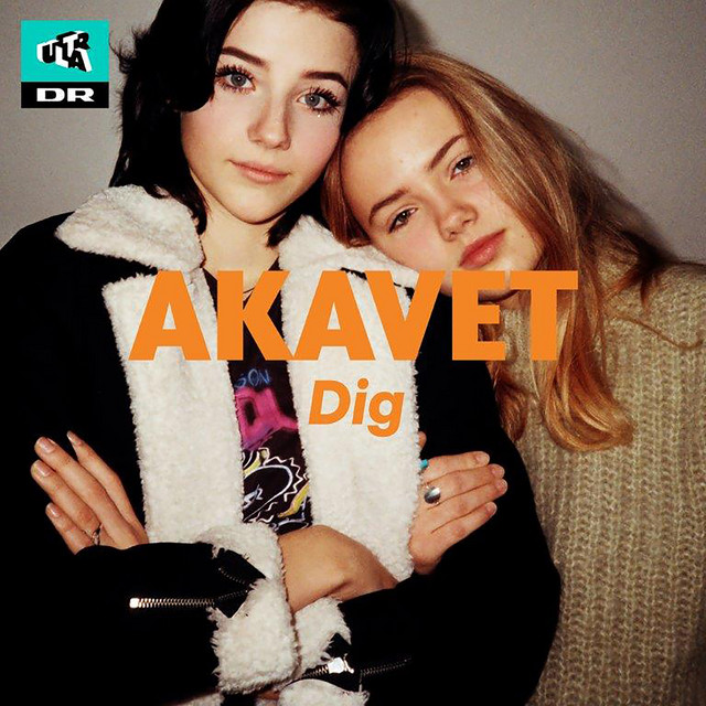 Dig cover art