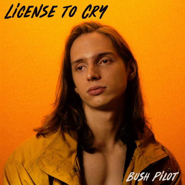 License to Cry cover art