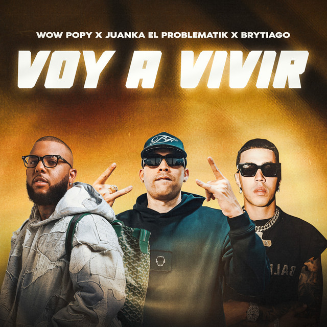 Voy A Vivir
