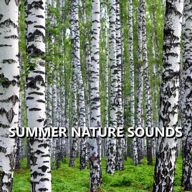 Summer Nature Sounds cover art