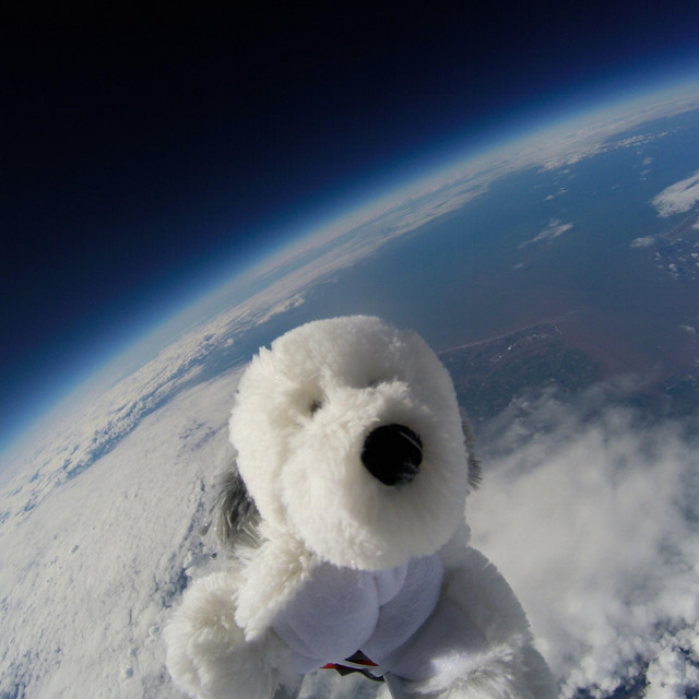 Spacedog cover art