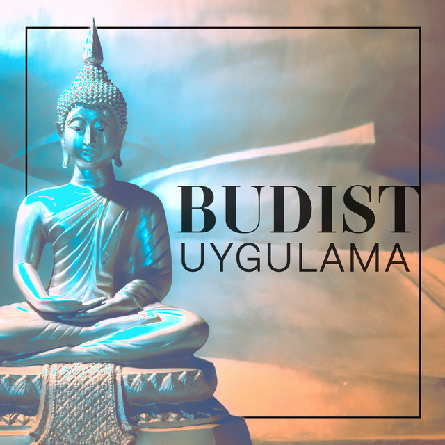 Budist Uygulama cover art