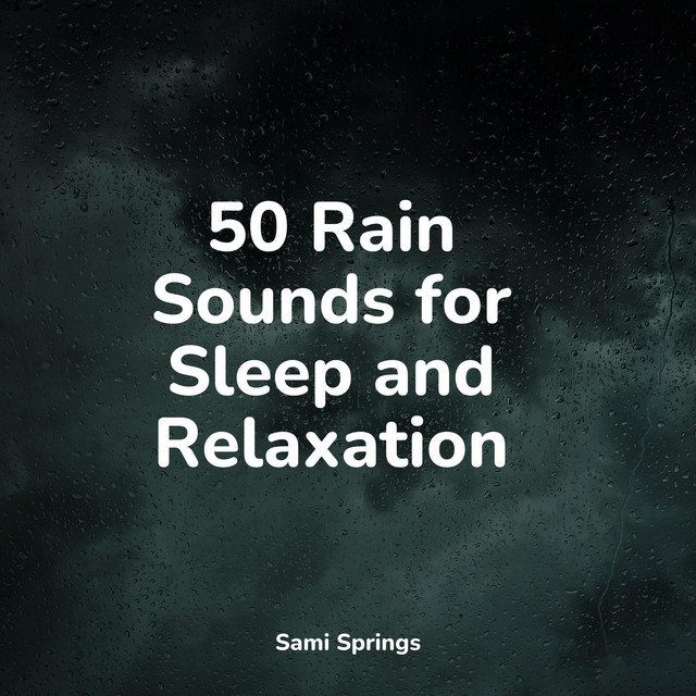 Ambient Rain Sounds for Sleep - Album by meditacou musica ambiente ...