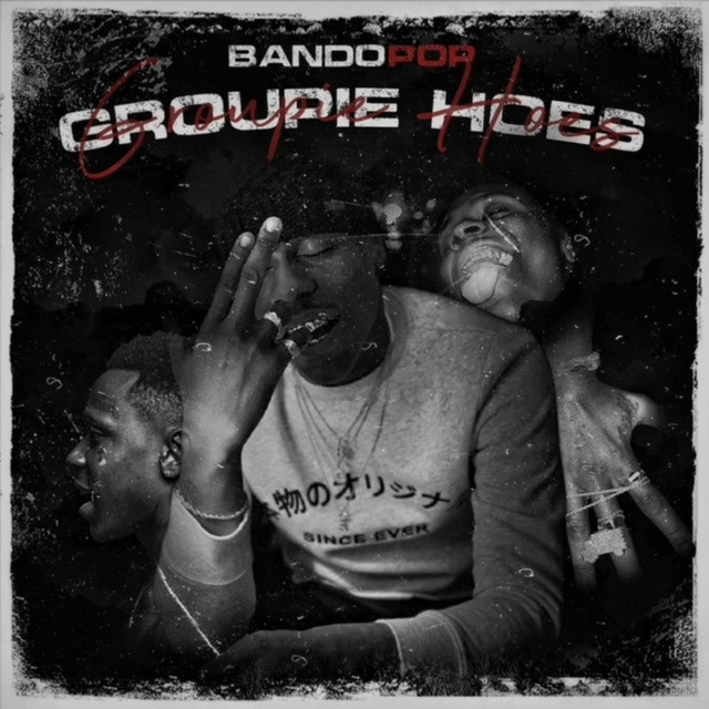Groupie Hoes - Single by BandoPop | Spotify