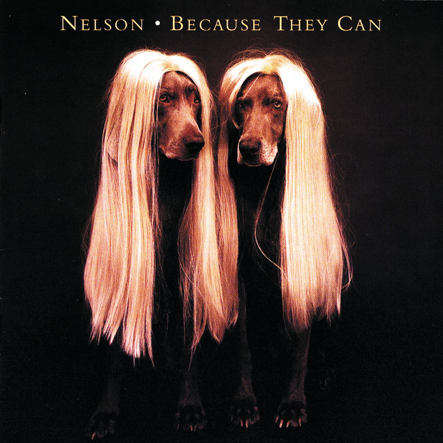 Because They Can cover art