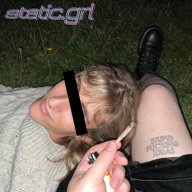 stupid fucking ideas cover art