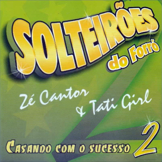 Casando com o Sucesso 2 cover art