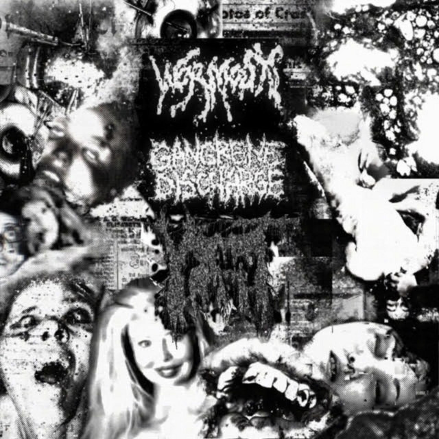Gangrene Discharge ​ /​Vomit Bath - Album by Wormosis | Spotify
