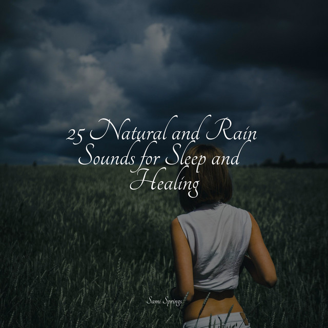 25 Natural and Rain Sounds for Sleep and Healing - Album by Soothing ...