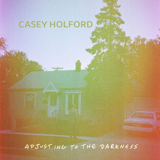 Adjusting To The Darkness cover