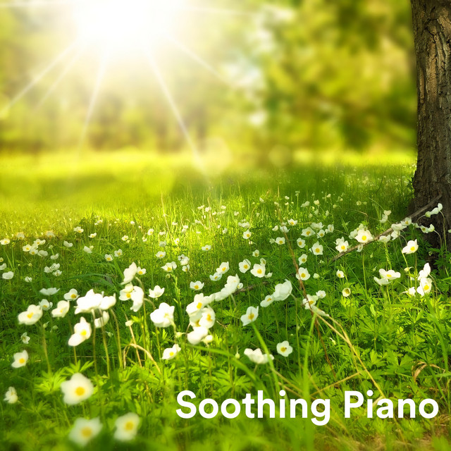 Soothing Piano cover art