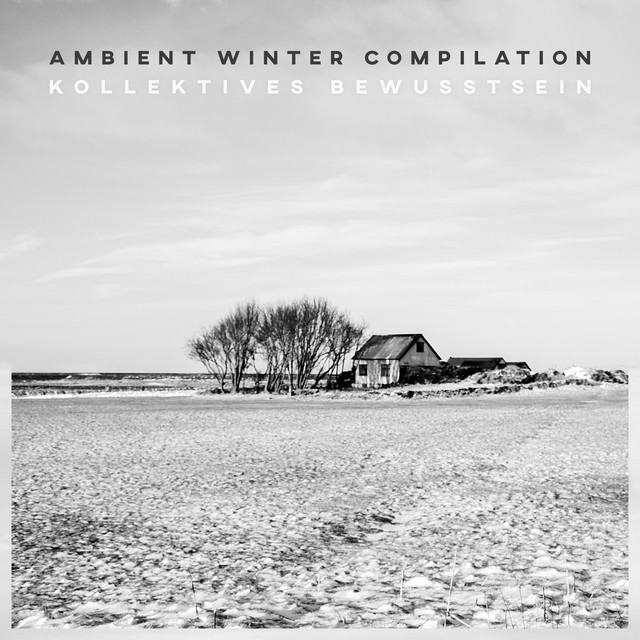 Kollektives Bewusstsein: Ambient Winter Compilation cover