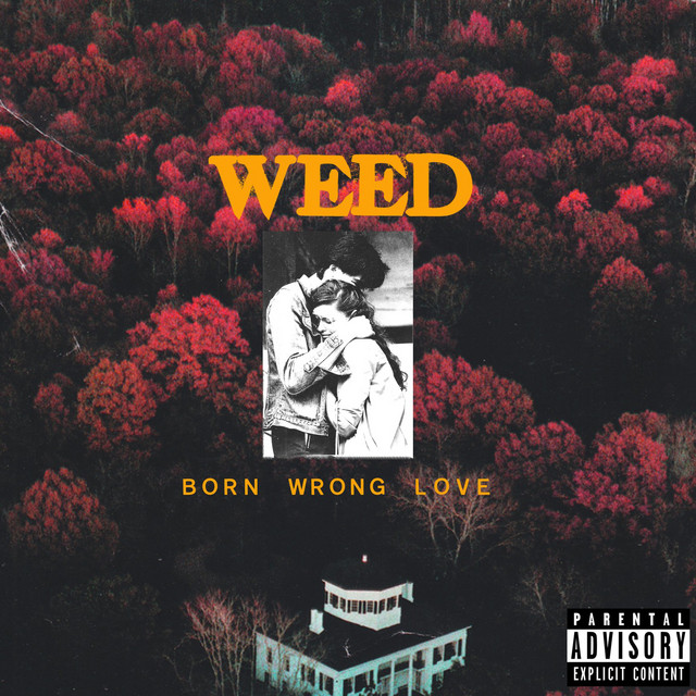 Born Wrong Love cover art