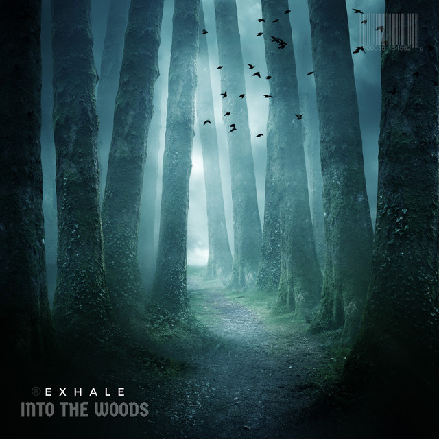 INTO THE WOODS cover art