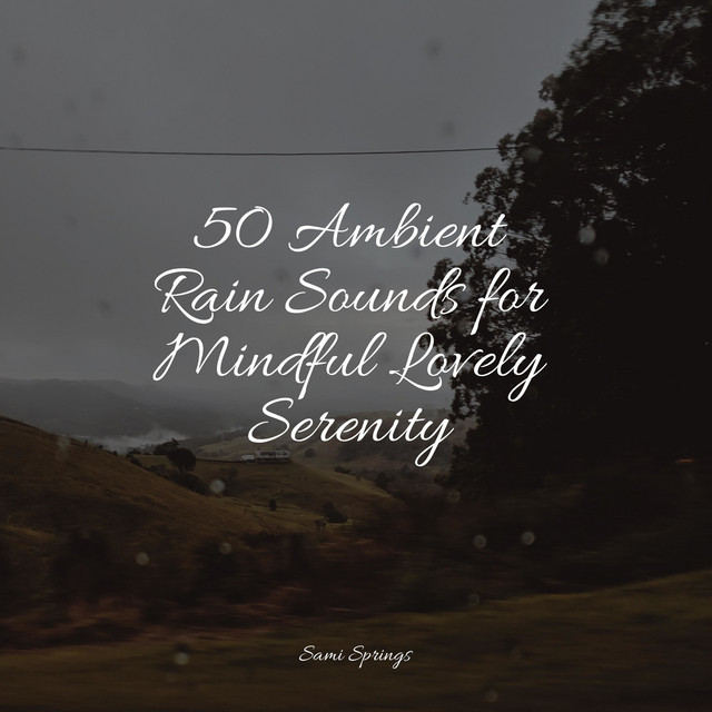50 Ambient Rain Sounds for Mindful Lovely Serenity - Album by Egyptian ...