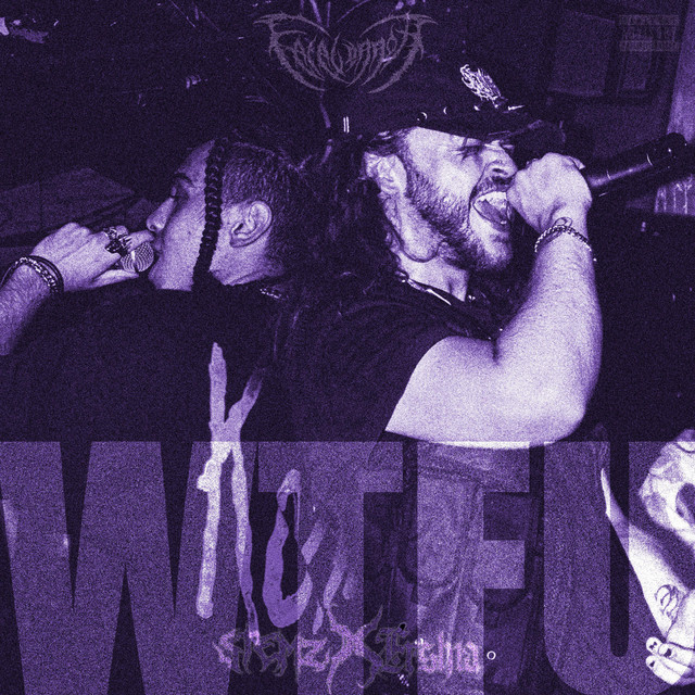 WTFU cover art