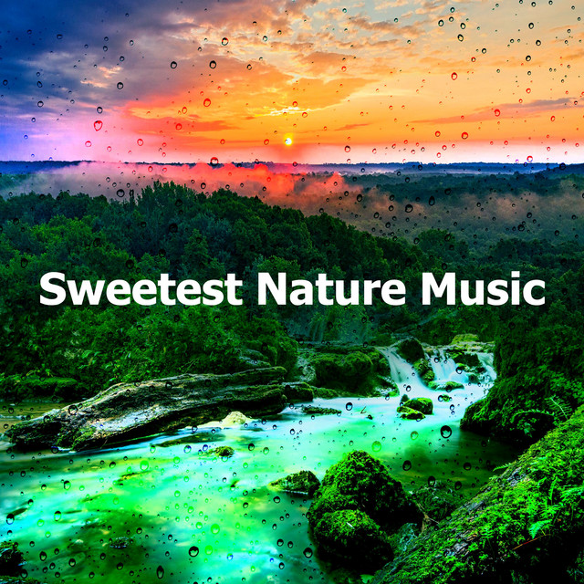 Sweetest Nature Music - Album by Nature & Rainforest Sounds Collective ...