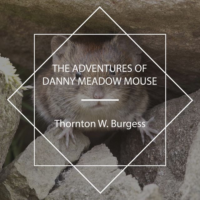 The Adventures of Danny Meadow Mouse cover art