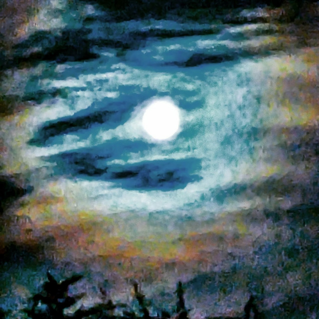 Backhere cover art