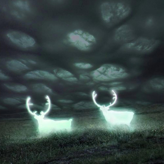 night light