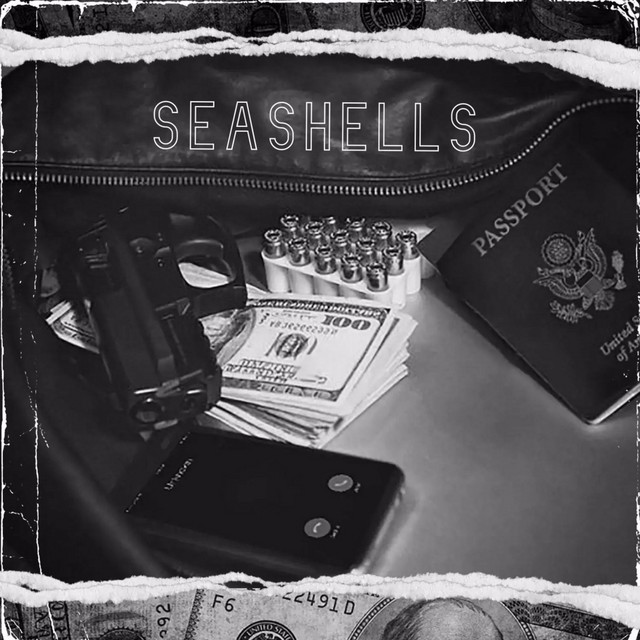 Seashells cover art