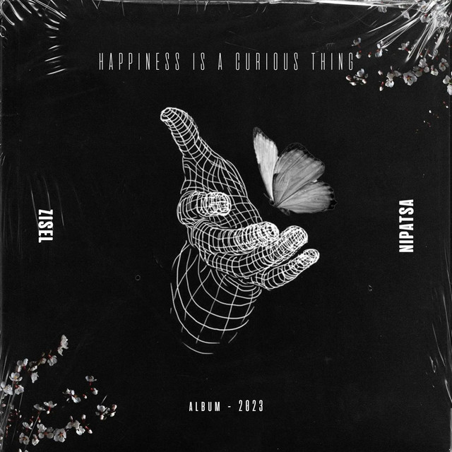 Happiness Is a Curious Thing cover art