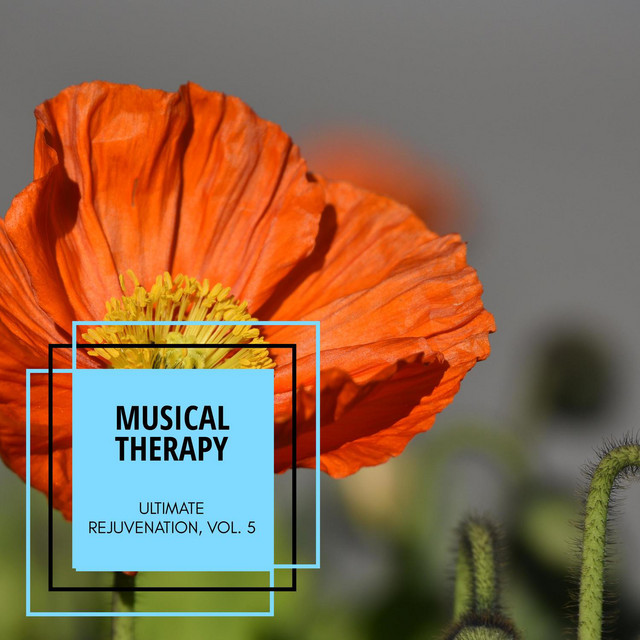 Musical Therapy - Ultimate Rejuvenation, Vol. 5 - Compilation by ...
