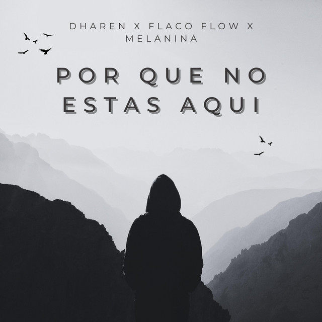 Por Que No Estas Aqui