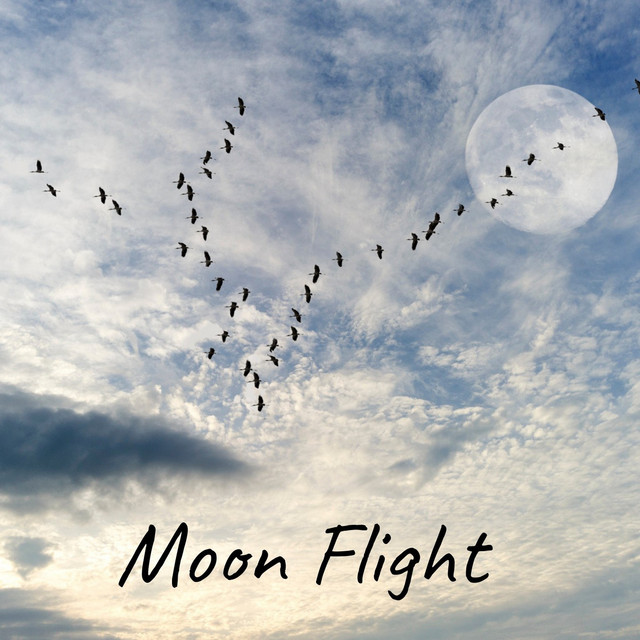 Moon Flight cover art