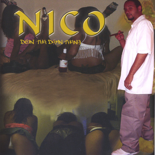 Nico Doin Tha Damn Thang cover art