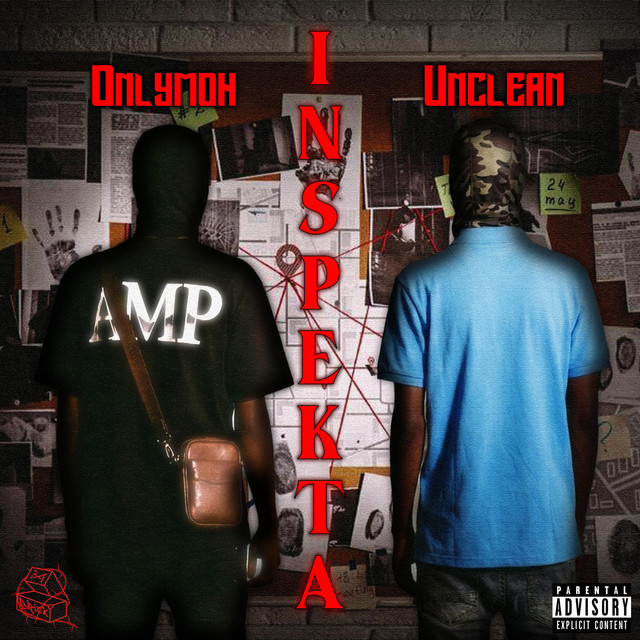 Inspekta