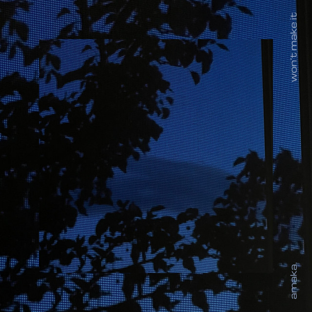 undefined album image