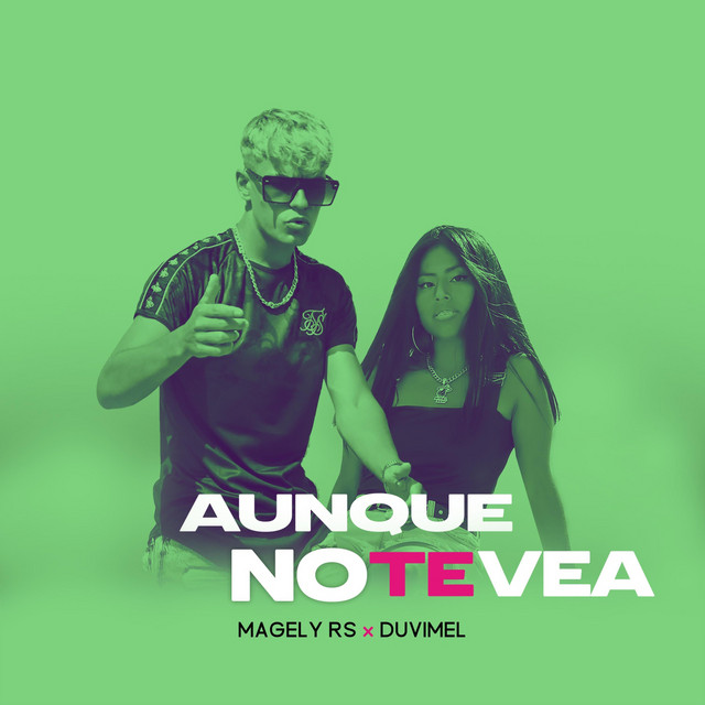 Aunque No Te Vea