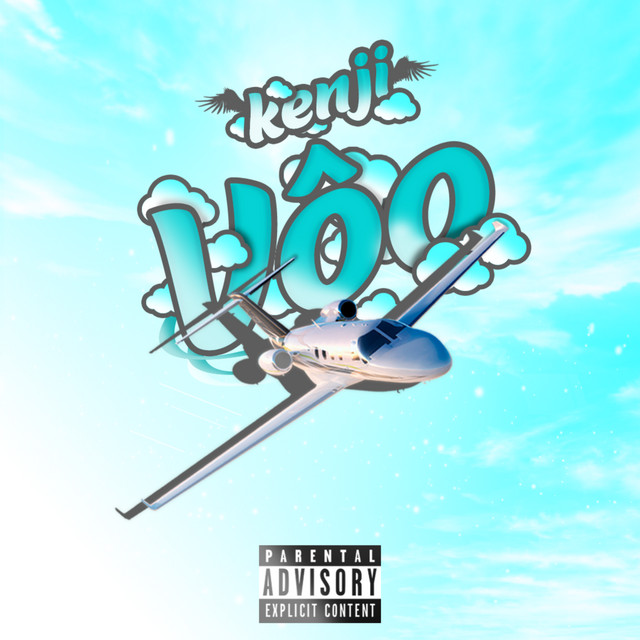 Vôo cover art