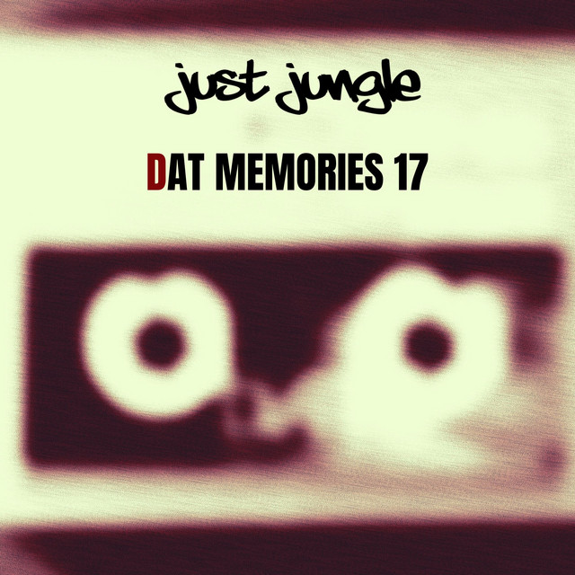 DAT Memories Vol 17 cover
