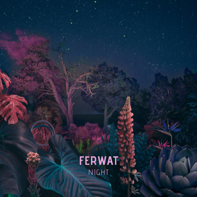 Night cover art