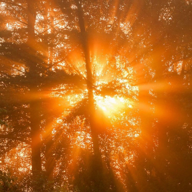 DYING SUN cover art