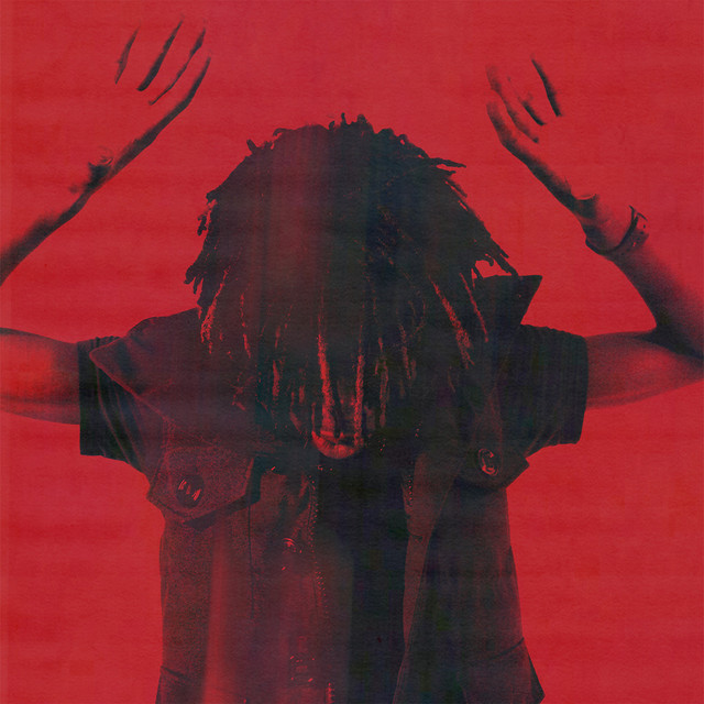 Disturbing The Peace cover art