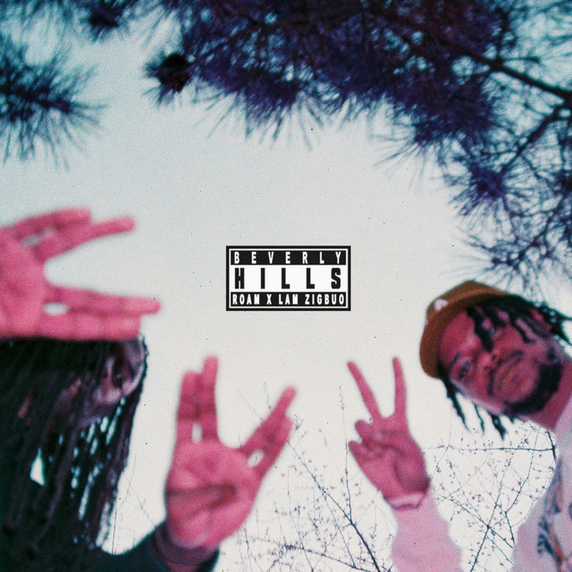 BEVERLY HILLS cover art