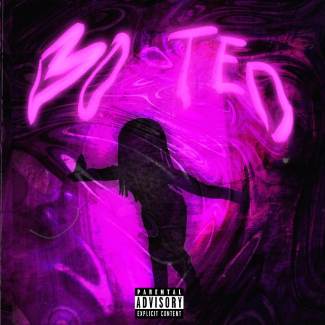 Booted! cover art