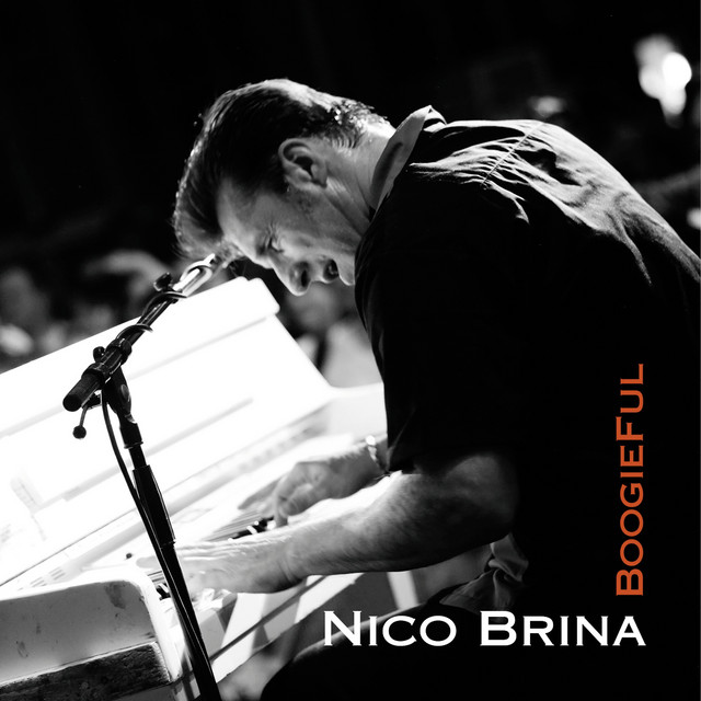 BoogieFul (Nico Brina Solo) cover