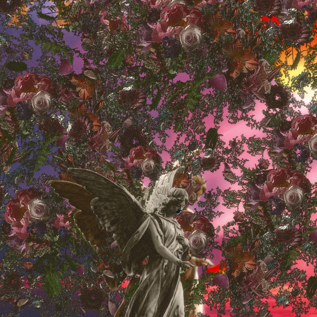 Before The Night Comes cover art