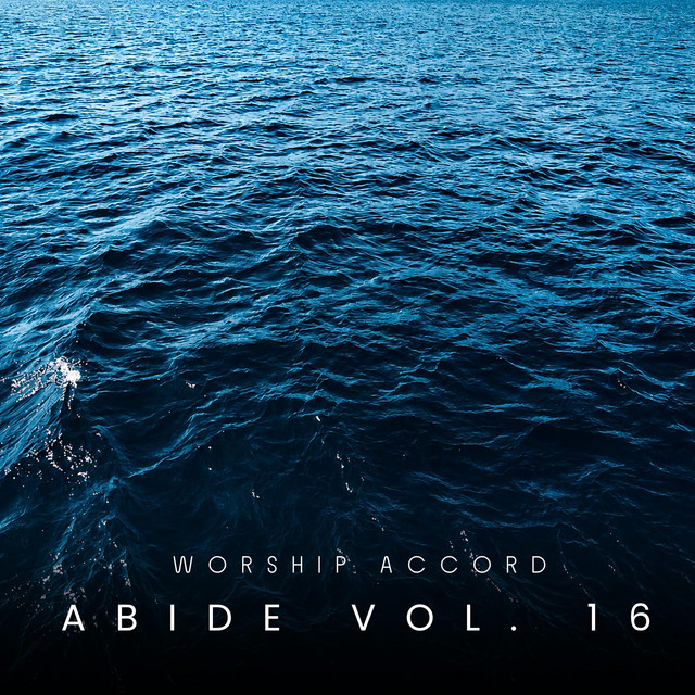Abide, Vol. 16