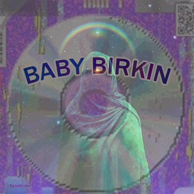 Baby Birkin cover art