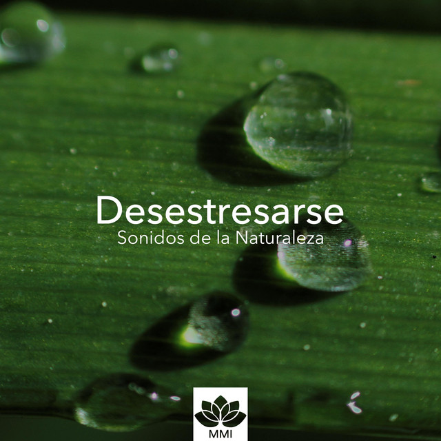 Musica para Desestresarse, Yoga y Meditacion, Sonidos de la Naturaleza, Antiestrés cover art