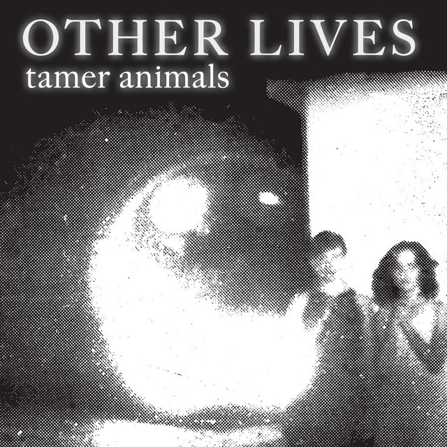 Tamer Animals cover art
